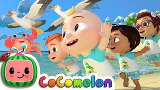 Sea Animal Song | CoComelon Nursery Rhymes & Kids Songs