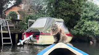 Louis is so Cool: Grooming, Kayaking, and Refusing to Go Home