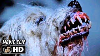 DEMONS 2 | Demon Dog Transformation (1986) Movie CLIP HD