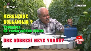 Üre Gübresi Neye Yarar?  | Nerelerde Kullanılır ? | Dikkat Edilmesi Gerekenler