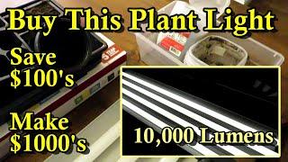 How to Grow Vegetable Plants Indoors & Make Money (Materials, Light Ratings, Basic Set Up)