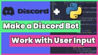 Working with user inputs from commands in discord.py 2