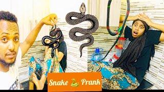 Snake  Prank On My BAE Prank Jawwee Obse Irraatti Hojadhe Prank Aja'ibaa kana dawadha