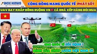 Netizen Quốc Tế Trầm Trồ: Từ Khi Nào Việt Nam Lại Trở Nên Hiện Đại Đến Như Thế