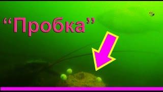 ловил на "Пробку" с самоподсечкой. Подводная съемка, рыбалка онлайн. Ловля на Пробку. Fishing