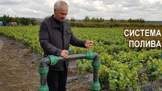 400 тонн дождевой воды для полива саженцев. Система полива. Питомник Vitis-Cojusna. Молдова.