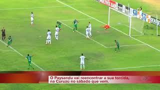 Notícias GP News - Paysandu na Curuzú no próximo sabado - Leão azul se mantem firme na série B