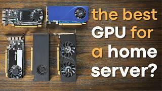 What's the BEST Low-Profile GPU for your Home Lab?