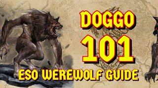 ESO Guide - Werewolf Basics