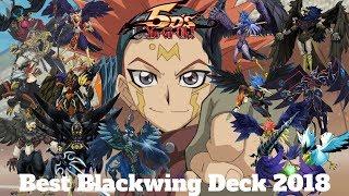 Yu-Gi-Oh BEST BLACKWING DECK 2018! These birds aren’t backing down!