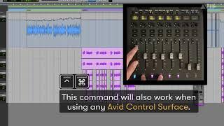 Pro Tools Tech Tips — Changing Track Views