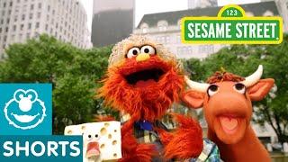 Sesame Street: Old MacMurray Had A Farm