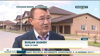 Kazakh PM visits new agricultural settlement in Pavlodar - Kazakh TV