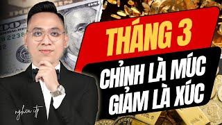 Xu hướng VNIndex 2025: Uptrend! Cơ hội lớn sẽ đến với tất cả nhà đầu tư chứng khoán!