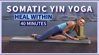 Somatic Exercises and Yin Yoga to Heal your Gut || IBS Bloating Indigestion