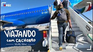 Viajando para a Europa com cachorro!