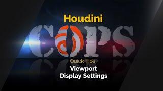 Houdini COPs QuickTips - Viewing Nodes Display Settings