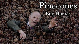 Pinecones (Official Music Video)