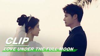 Clip: The Destined Couple Always Meet [The End] | Love Under The Full Moon EP24 | 满月之下请相爱 | iQiyi