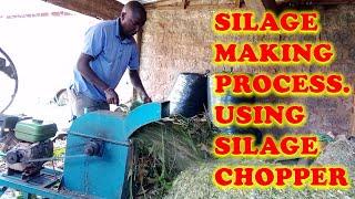 Siilage Making Process Using Silage Chopper