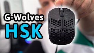 Die NEUE Fingertip-Maus von G-Wolves | G-Wolves HSK Ace Review [DE]