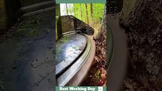 Best working day #238 Tree sawing process