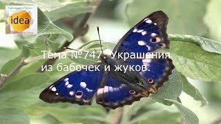 Украшения из бабочек и жуков