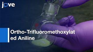 Synthesis Of Ortho-Trifluoromethoxylated Aniline Derivatives l Protocol Preview