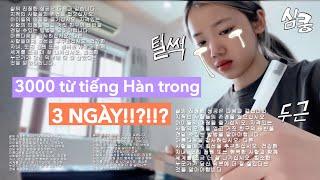 Mình đã học 3000 từ tiếng Hàn trong 3 ngày!