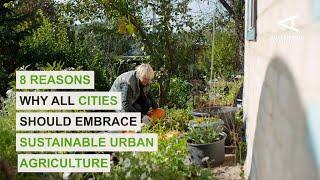 8 reasons why all cities should embrace sustainable urban agriculture