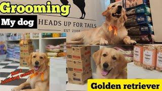 My dog Grooming || Pet lovers || Best spa for dogs & cat️ Golden retriever || Headsupfortails