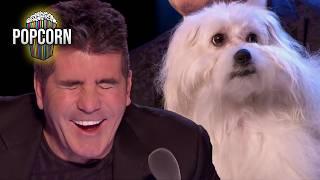 HILARIOUS Singing Dog Audition! Marc Métral and Wendy SHOCK the BGT Judges!
