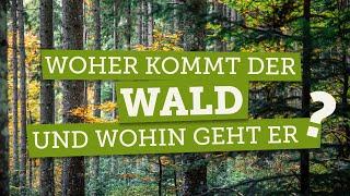 Was bedeutet Biodiversität?