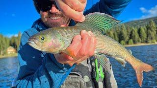 Kayak Fishing for Arctic Grayling