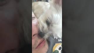 22 minutes of dog licking nose cause the dog loves my nose ASMR