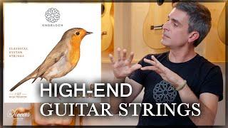 Future of Guitar Strings | Knobloch Strings CEO Interview at Siccas Guitars