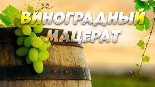 Виноградный мацерат легко и просто. Виноградная водка.