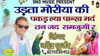 उड़ता मोरीया की पकड़ ल्या पान्ख मर्द तन जद  समजुगी र New Viral Song 2024 Singer Narendra Gurjar