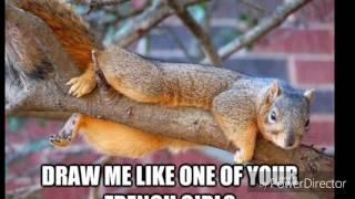 Squirrel Crush