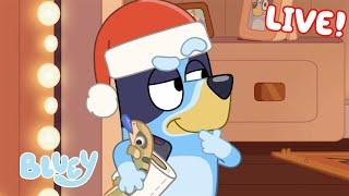 LIVE: It's a Bluey Christmas | 40 MINUTES | Bluey