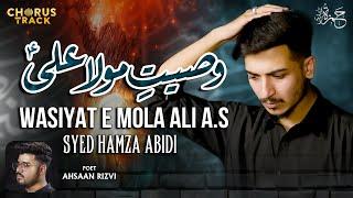 Mola Ali Noha 2024 | 21 Ramzan Noha 2024 | Wasiyat e Mola Ali | Hamza Abidi | Shahadat Imam Ali Noha