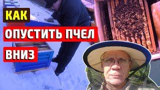 Зимовка пчел на улице Корма в зиму, вентиляция улья зимой