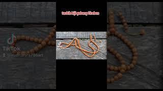 tasbih biji gebang cirebon