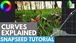 SNAPSEED TUTORIAL: Curves explained | Mastering the Curves | Snapseed photo editing | Android | iOS