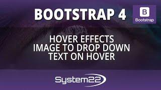 Bootstrap 4 Hover Effects Image To Drop Down Text On Hover 