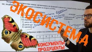 Консументы и продуценты в ЕГЭ