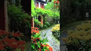 #Forest Rain sound #naturesounds #beautiful #Nature #flowers #dreams #garden #sleepmusic #bdl1tv