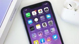 iPhone 11 Review 6 Months Later (2020): Do I Regret Buying It?