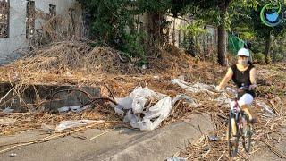 The sidewalk is full of grass and trash I volunteered to clean it up for a satisfying transformation