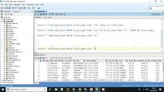 SQL Tutorial Like Operator - Video 2